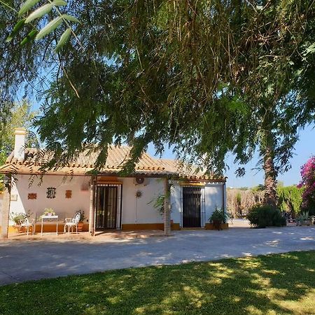 Finca El Romero, Finca A 15 Minutos De Sevilla Alcala del Rio Exterior foto