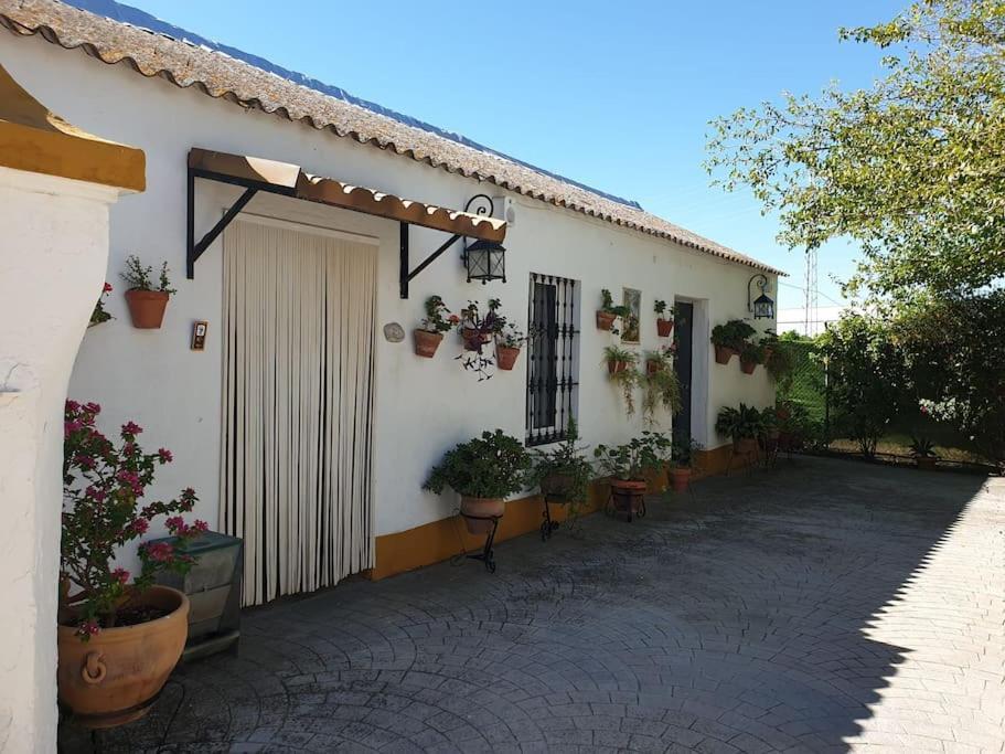 Finca El Romero, Finca A 15 Minutos De Sevilla Alcala del Rio Exterior foto