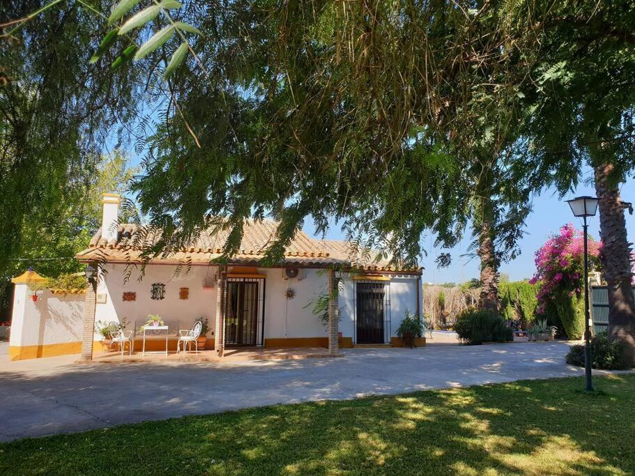 Finca El Romero, Finca A 15 Minutos De Sevilla Alcala del Rio Exterior foto